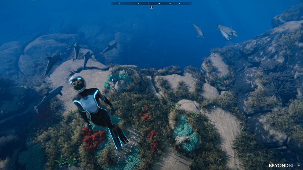 Beyond Blue: A discussion about oceans and games with Dr. Samantha&nbsp;Joye